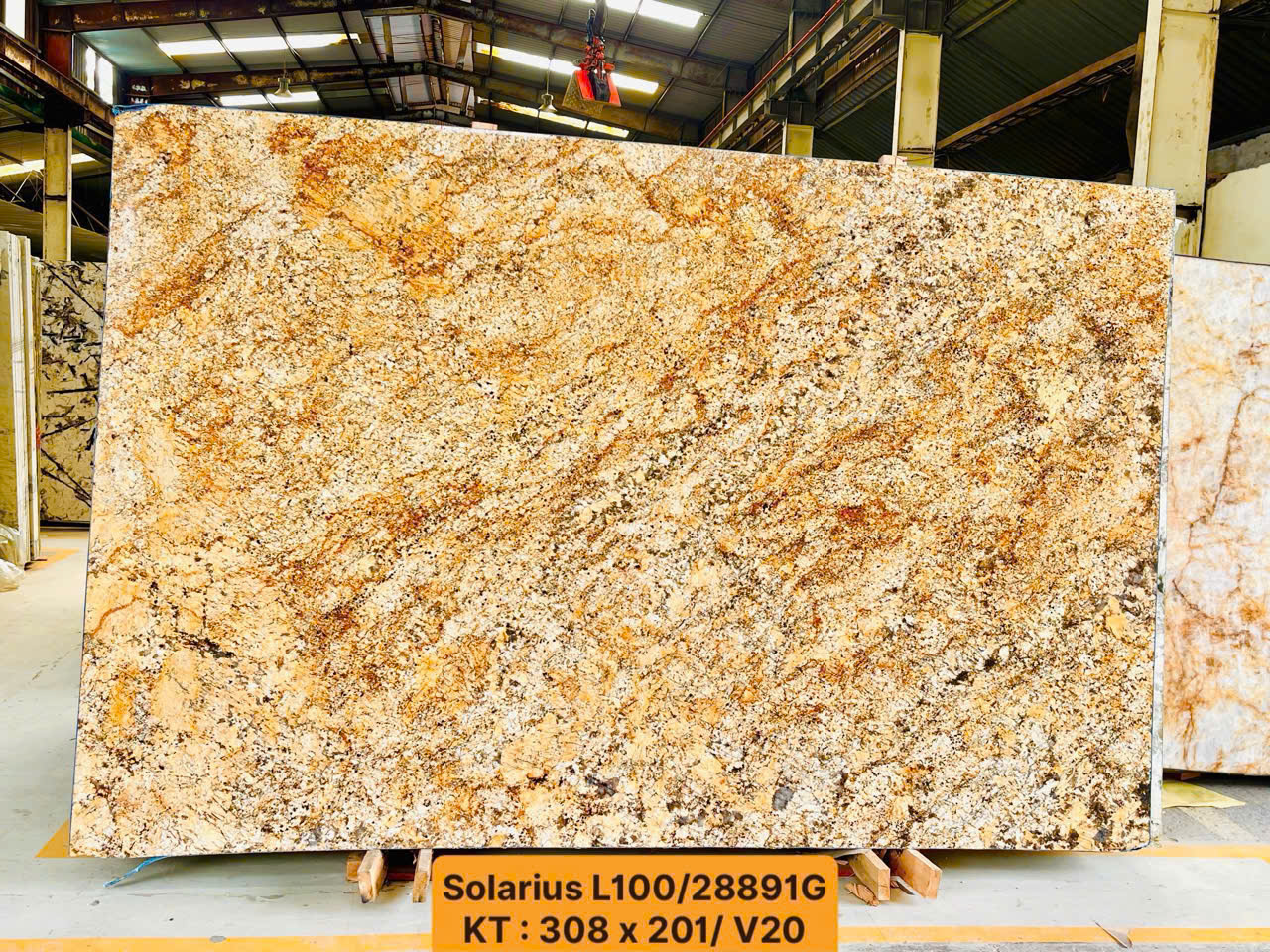 203971109470667907453