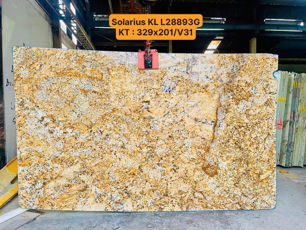 339aafbb90461c18455749