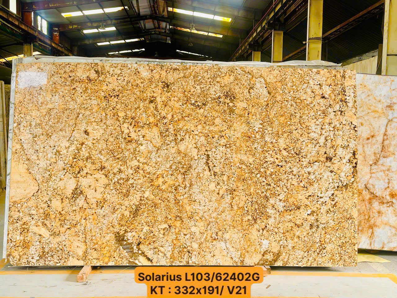 41431624054919082251