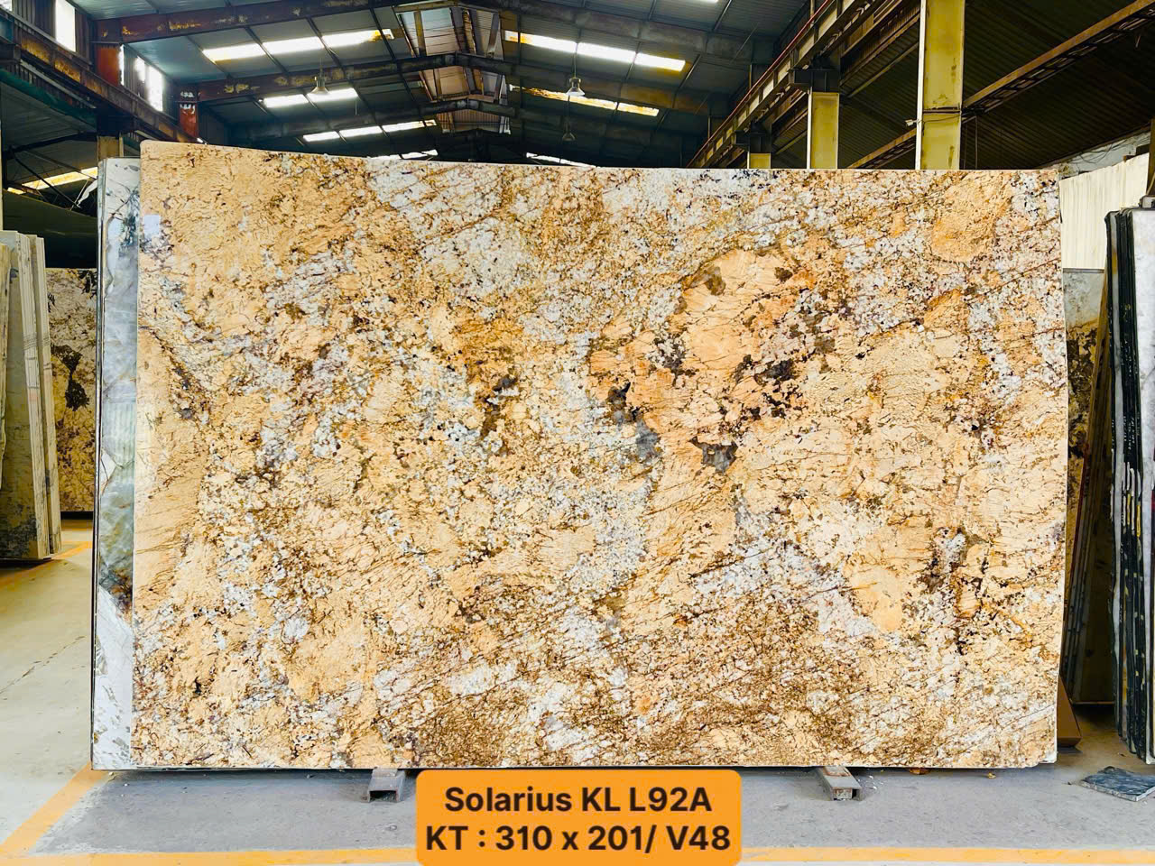 48827735934147643041