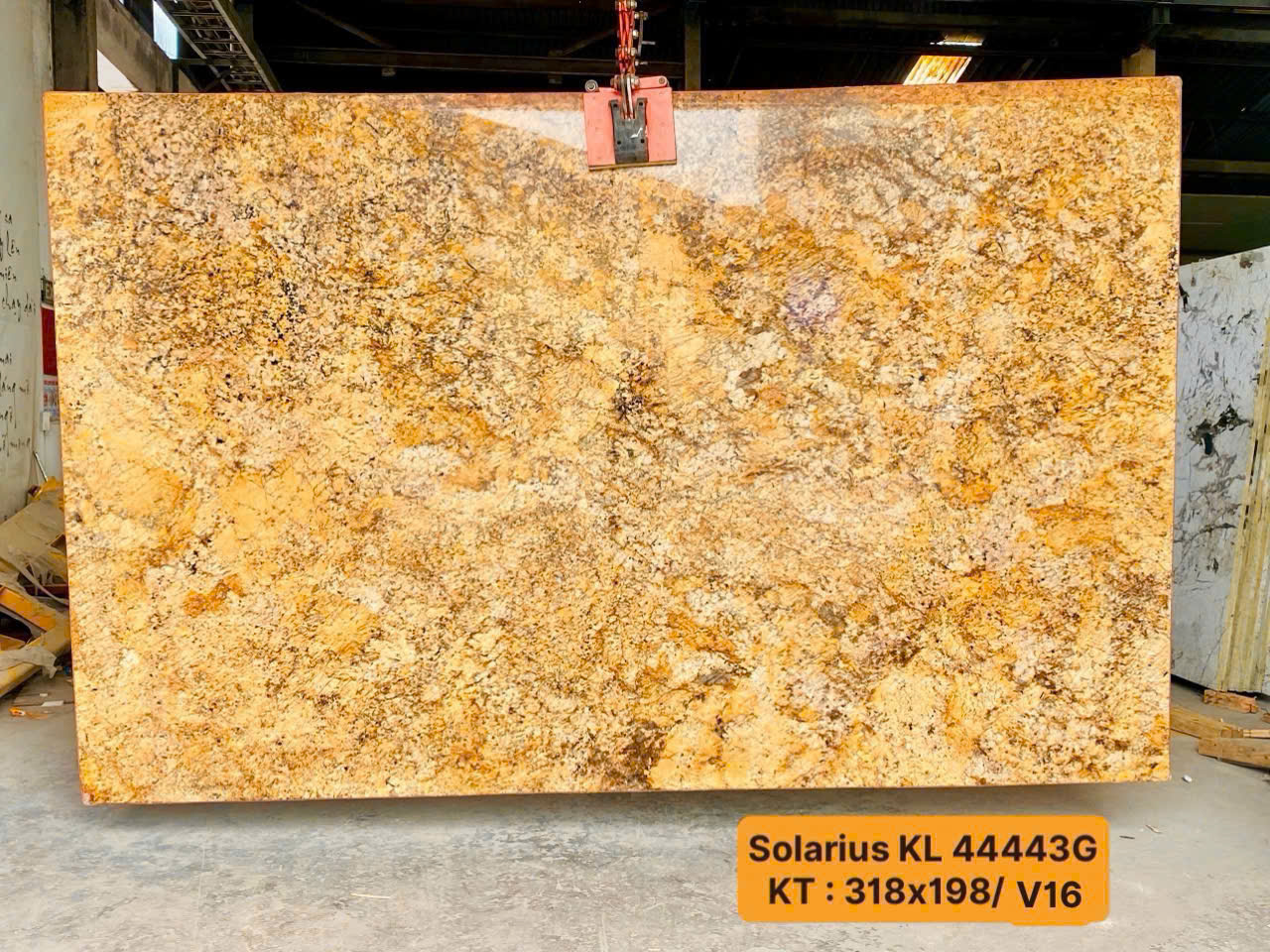 a75f3c7e03838fddd69247