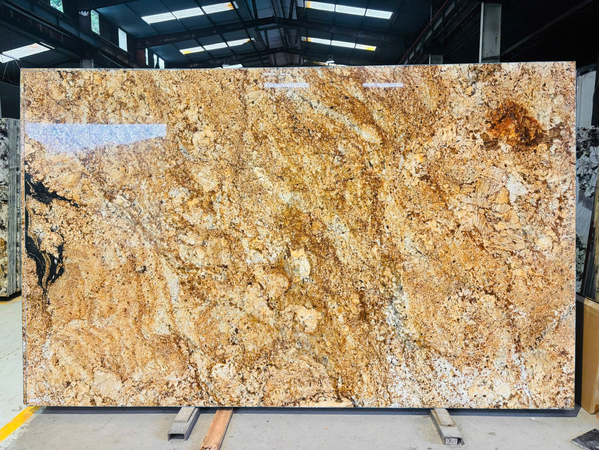 f8bd64995b64d73a8e7532