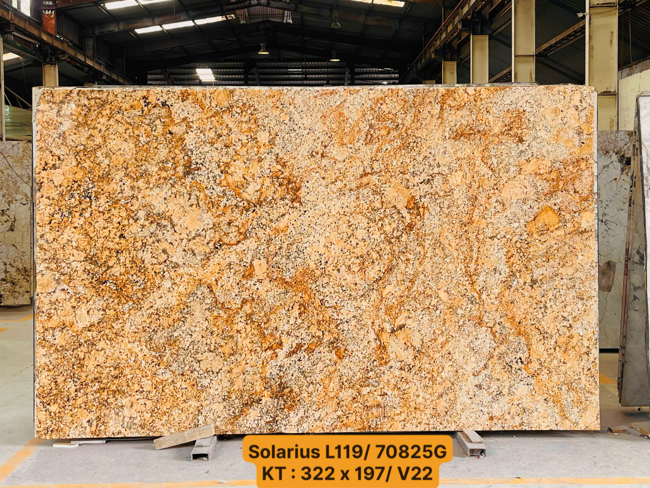 z7618782848845_f913503cfe7803197d9572e4453d15de