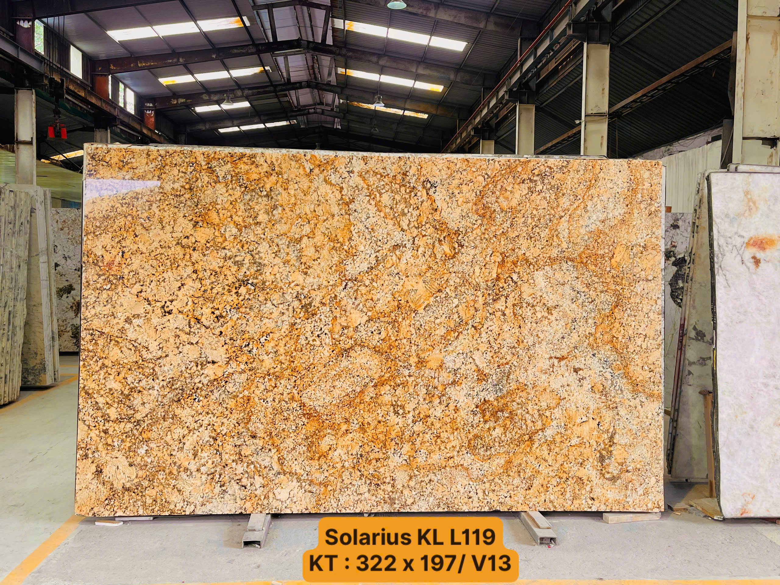 z7619868231870_8ec42c51cbc53f61936cb31e1d3a7c2d