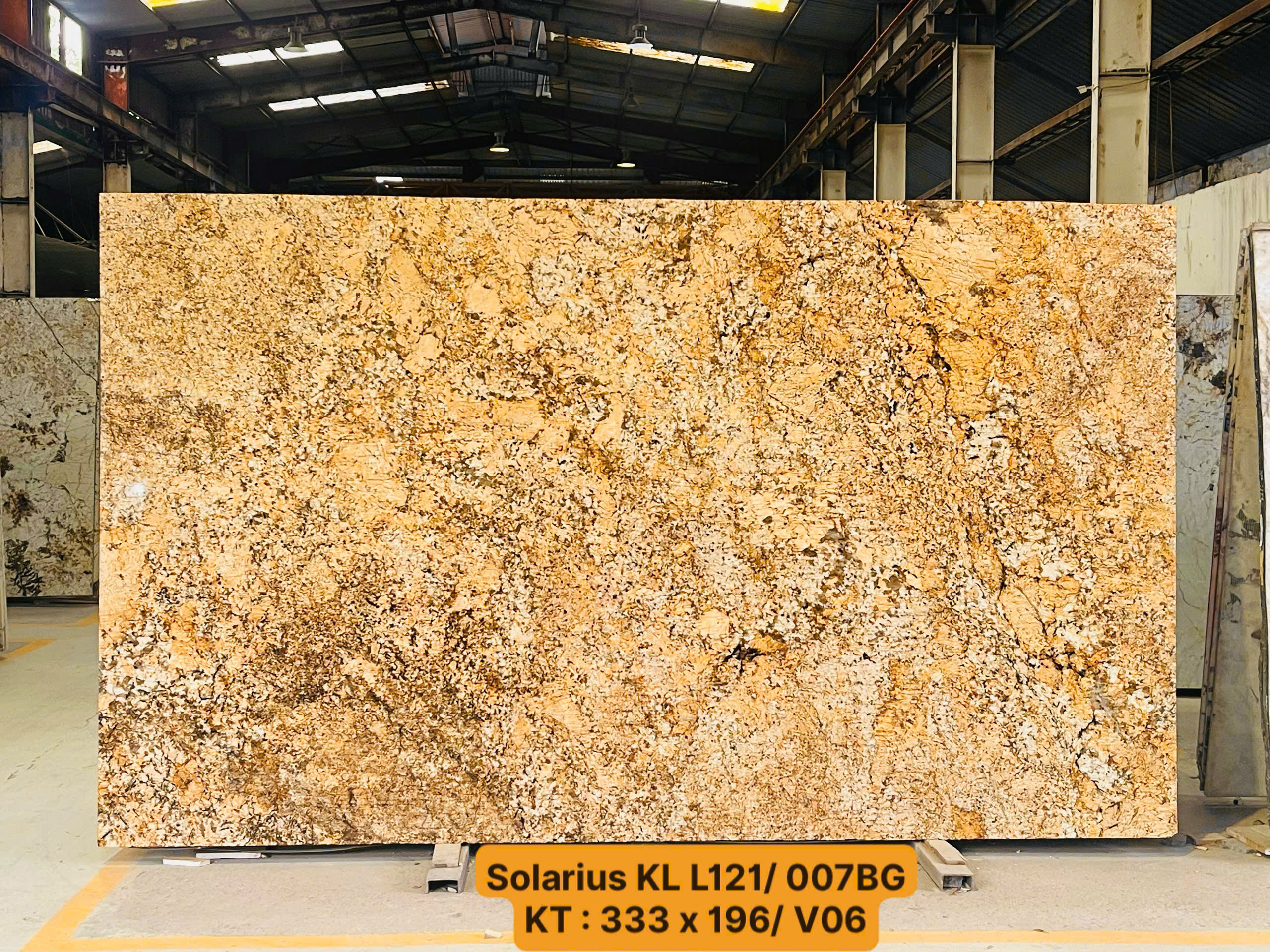 z7631656676381_3e1e513941a9b65adea4a57ffd61937d