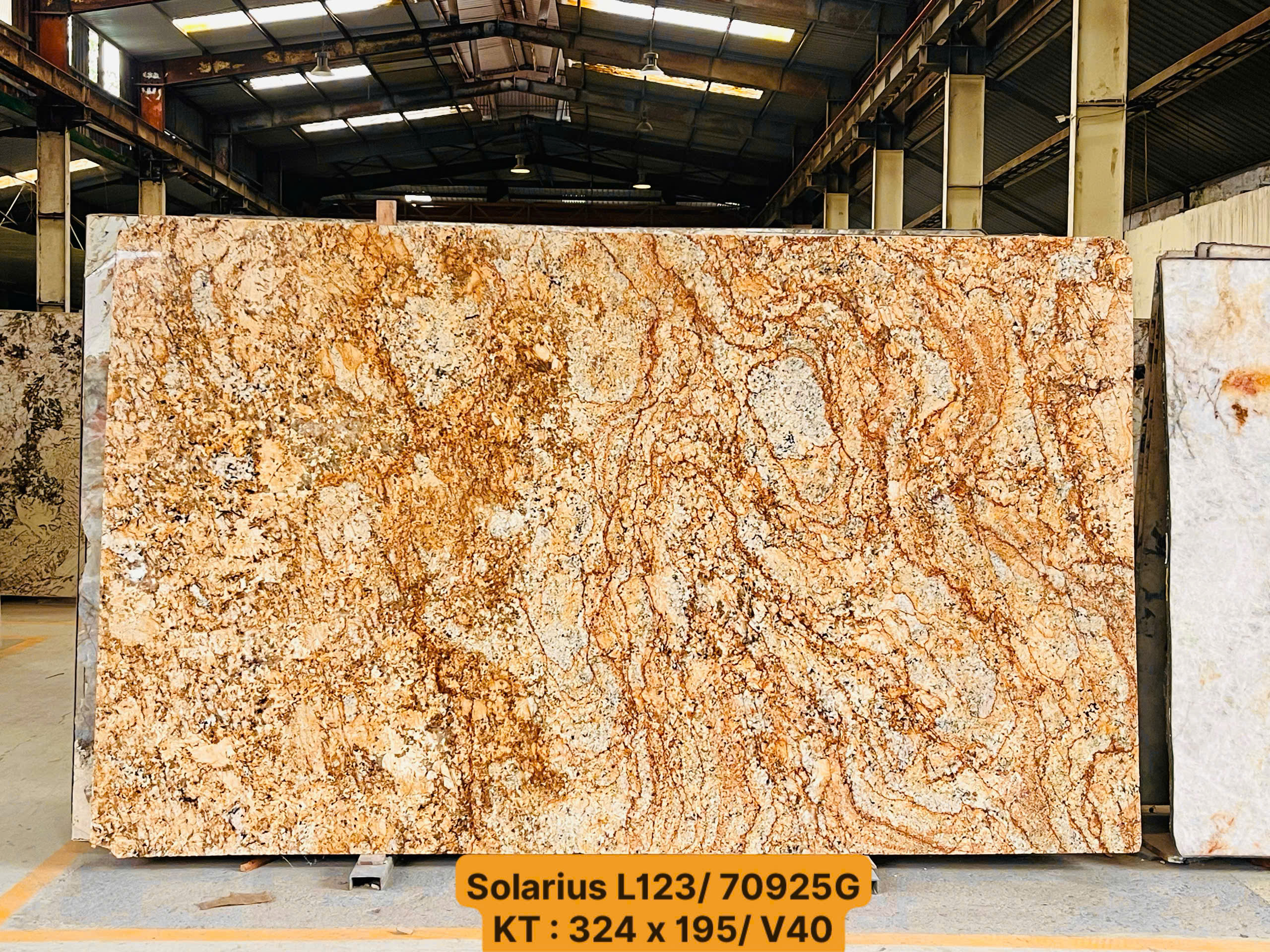 z7648263858979_4ec503a2cb71e074768a4ecef5c20b11